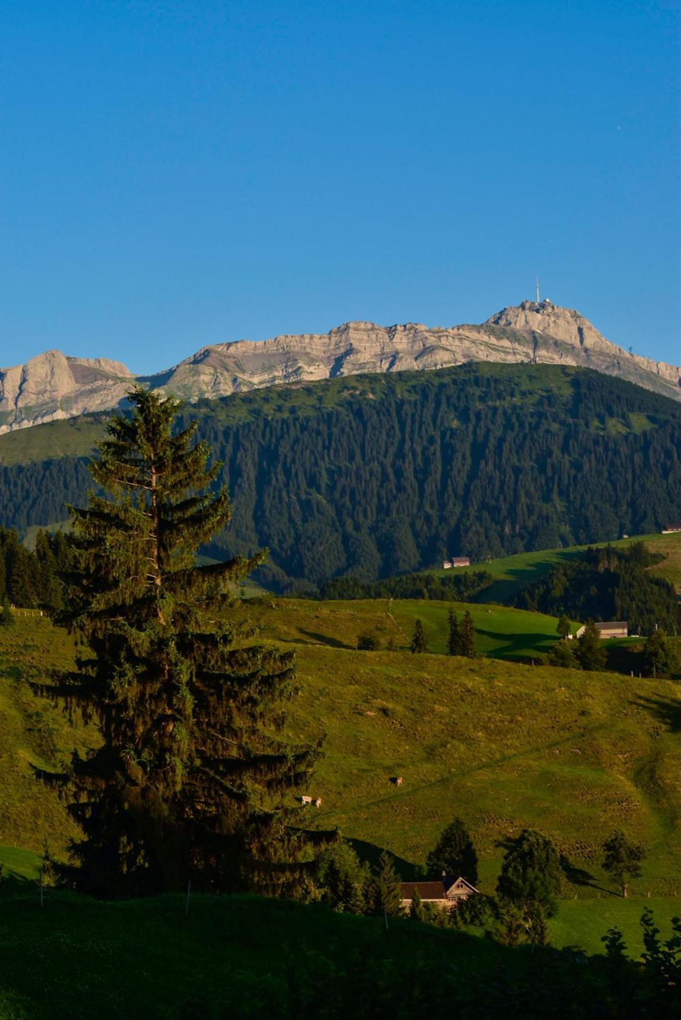 Ferienwohnung In Buehler Naehe Appenzell Buhler Dış mekan fotoğraf